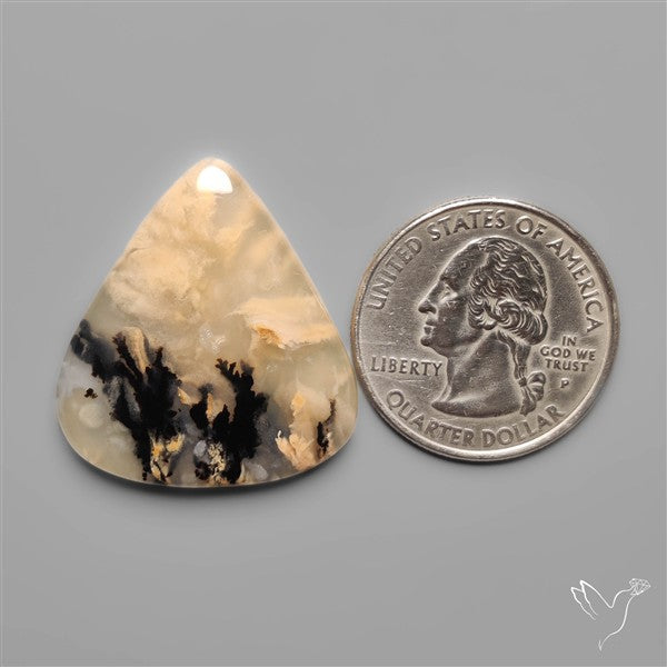 Australian Tiger Dendritic Agate