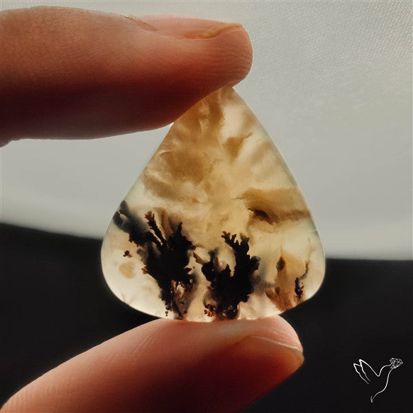 Australian Tiger Dendritic Agate