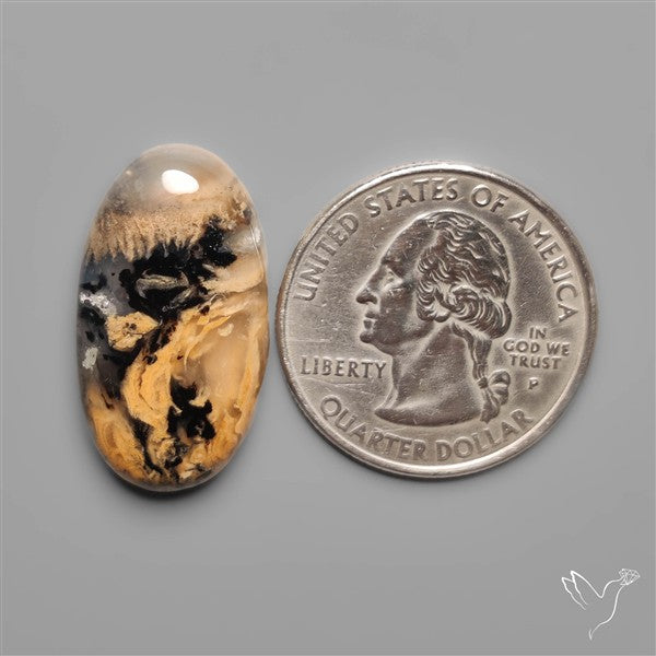 Australian Tiger Dendritic Agate