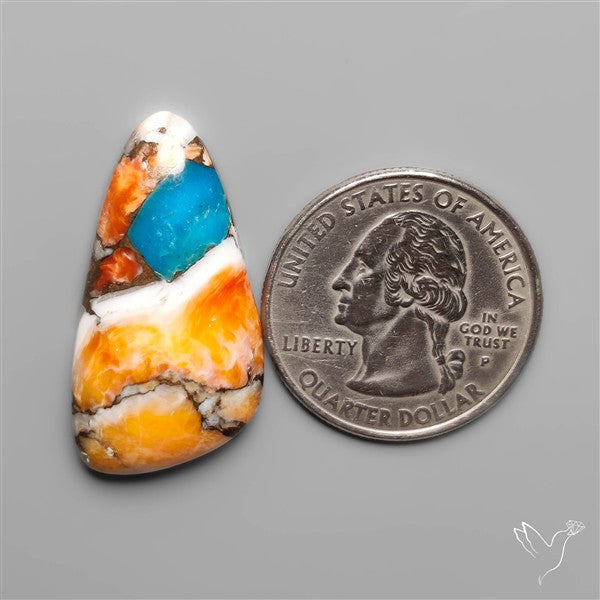 Spiny Oyster Mohave Turquoise