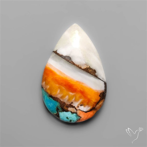 Spiny Oyster Mohave Turquoise