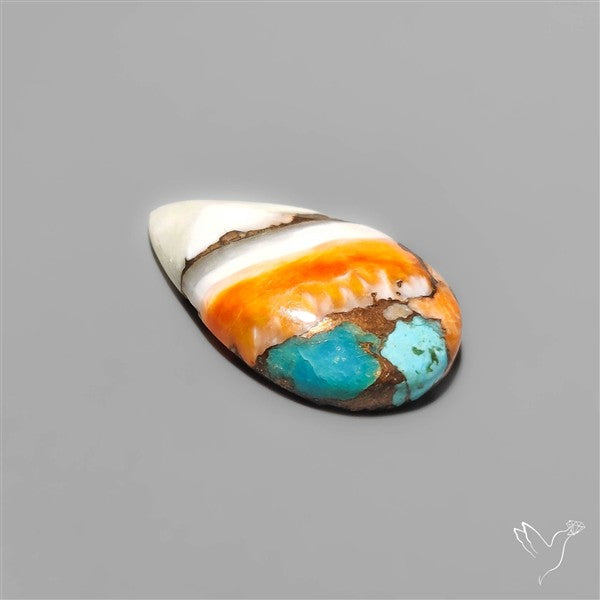 Spiny Oyster Mohave Turquoise