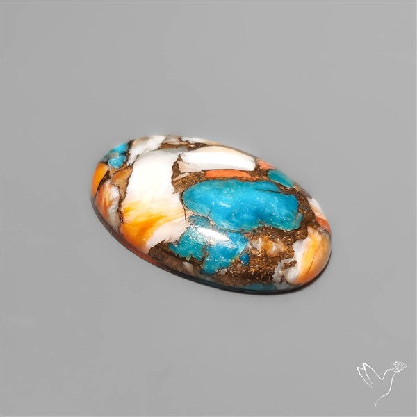 Spiny Oyster Mohave Turquoise