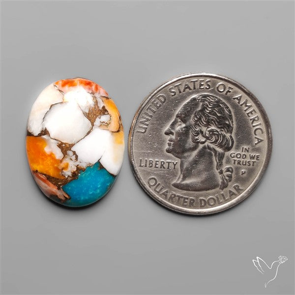 Spiny Oyster Mohave Turquoise
