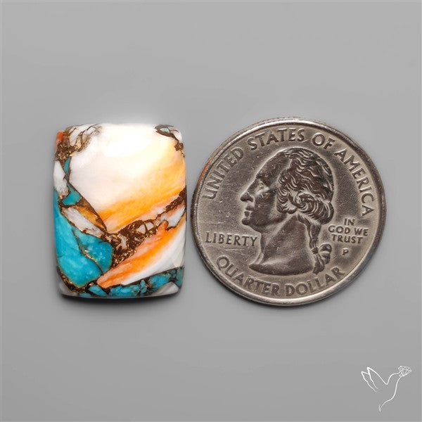 Spiny Oyster Mohave Turquoise