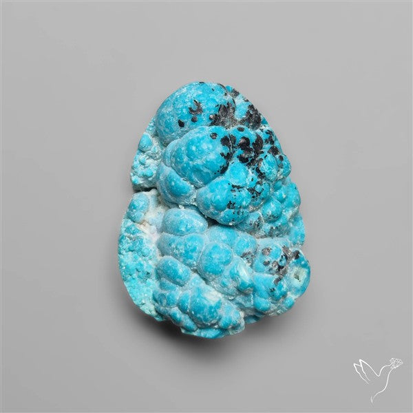 Rare Botryoidal Chrysocolla