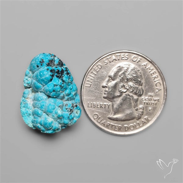 Rare Botryoidal Chrysocolla