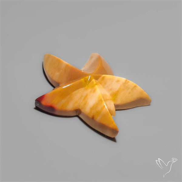 Bicolor Mookite Star Fish