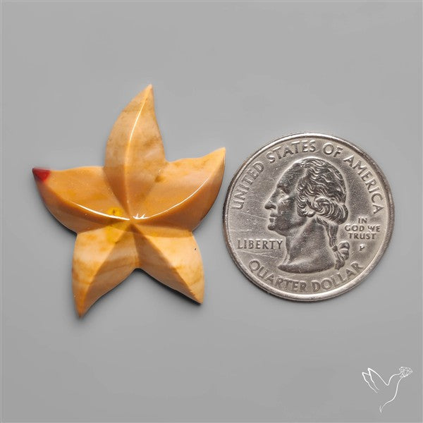 Bicolor Mookite Star Fish