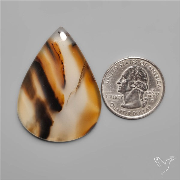Monatana Agate Cabochon