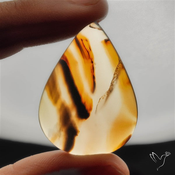 Monatana Agate Cabochon