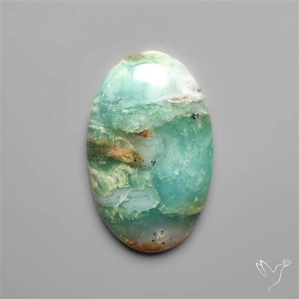 BC Ocean Picture Jasper