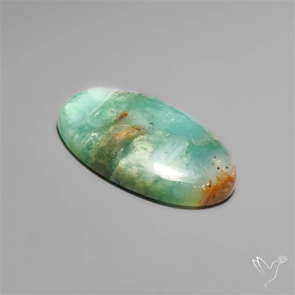 BC Ocean Picture Jasper