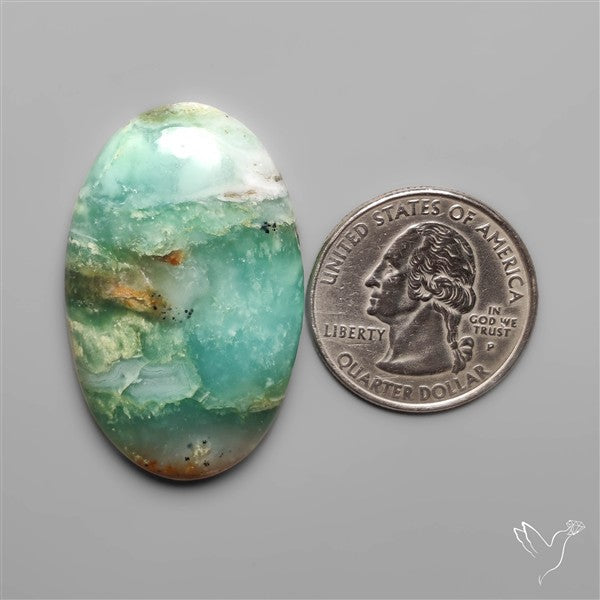 BC Ocean Picture Jasper