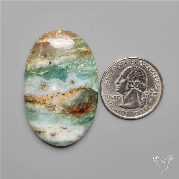 BC Ocean Picture Jasper