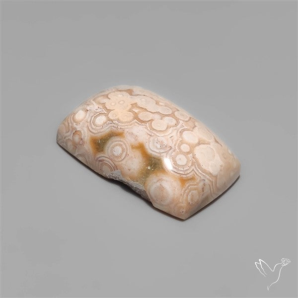 Orbicular Ocean Jasper