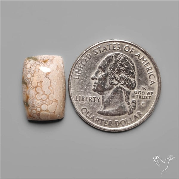 Orbicular Ocean Jasper