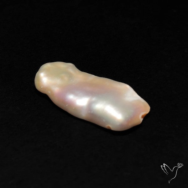 Raw Fresh Water Biva Pearl