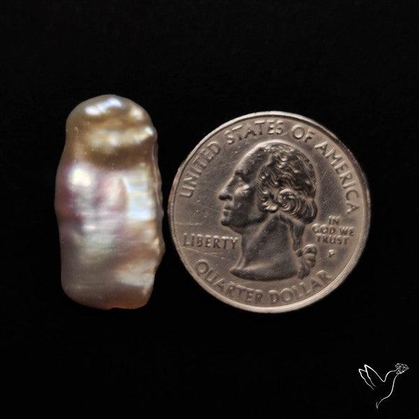 Raw Fresh Water Biva Pearl