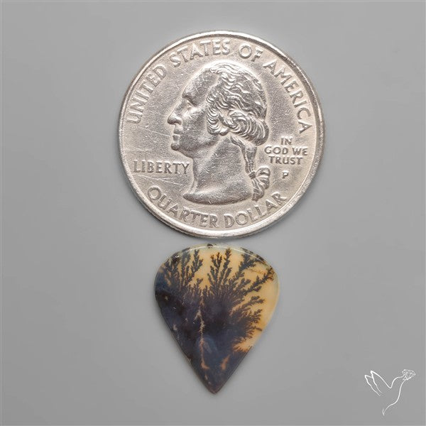 Selected Scenic Dendritic Agate
