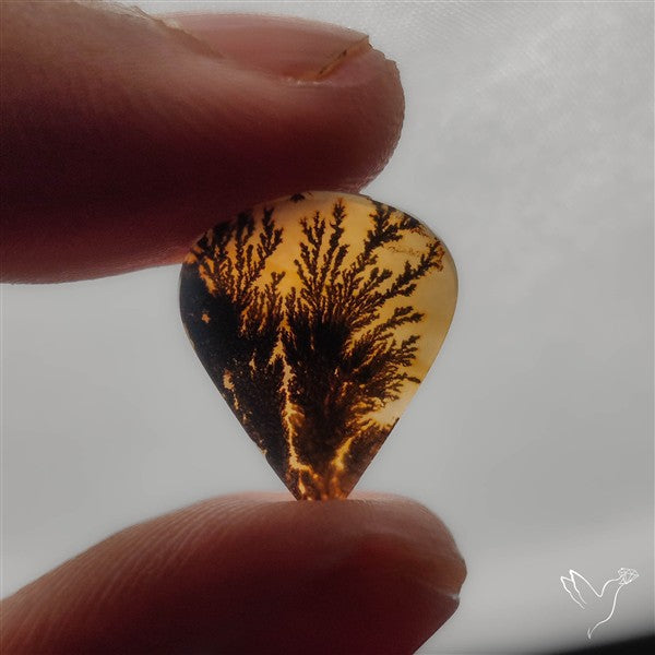 Selected Scenic Dendritic Agate