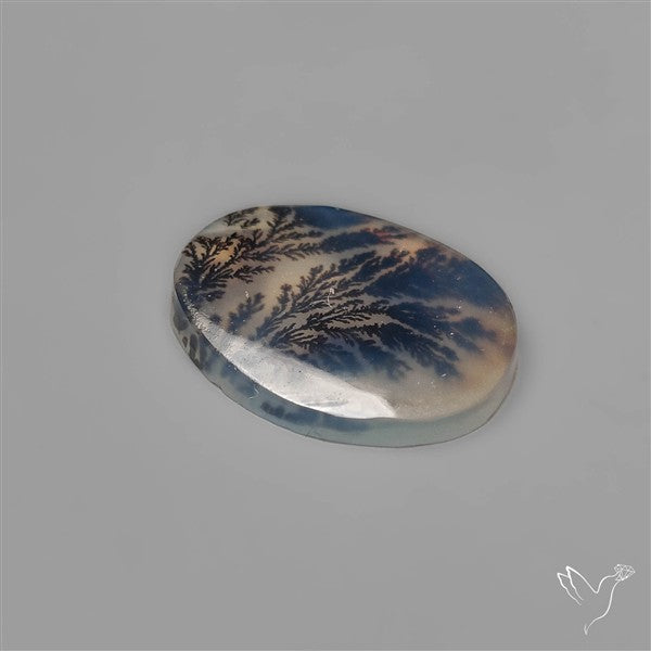 Selected Scenic Dendritic Agate