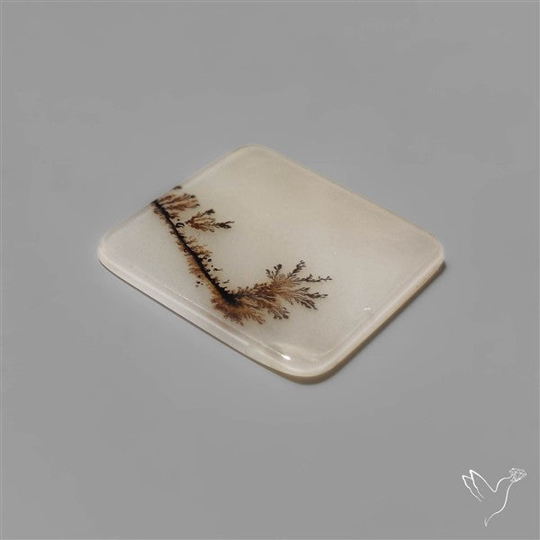 Selected Scenic Dendritic Agate