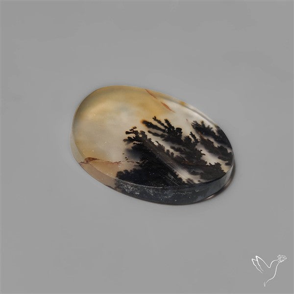 Selected Scenic Dendritic Agate