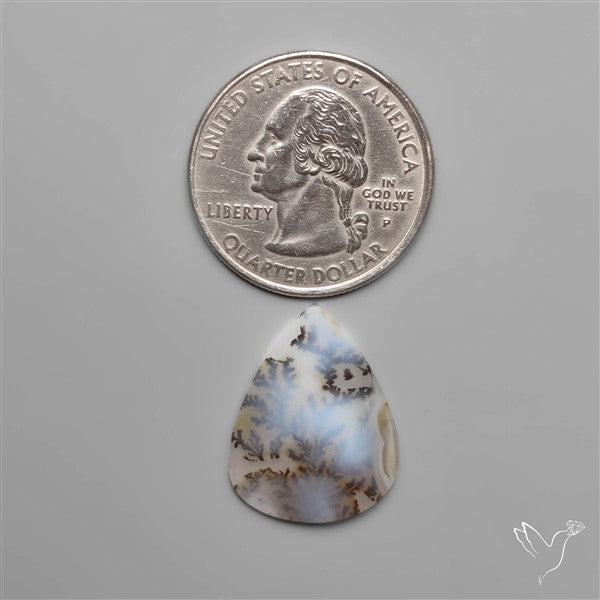 Selected Scenic Dendritic Agate