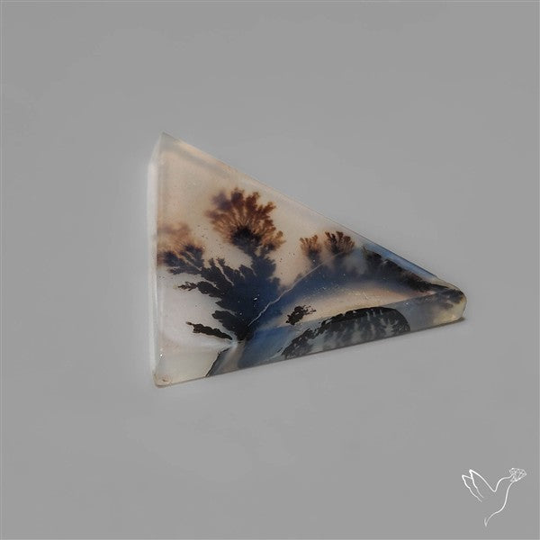 Selected Scenic Dendritic Agate