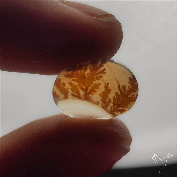 Selected Scenic Dendritic Agate