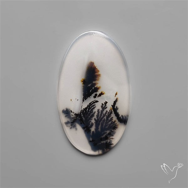 Selected Scenic Dendritic Agate