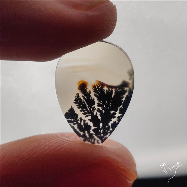 Selected Scenic Dendritic Agate