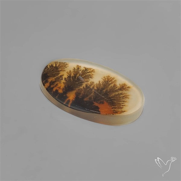 Scenic Dendritic Agate