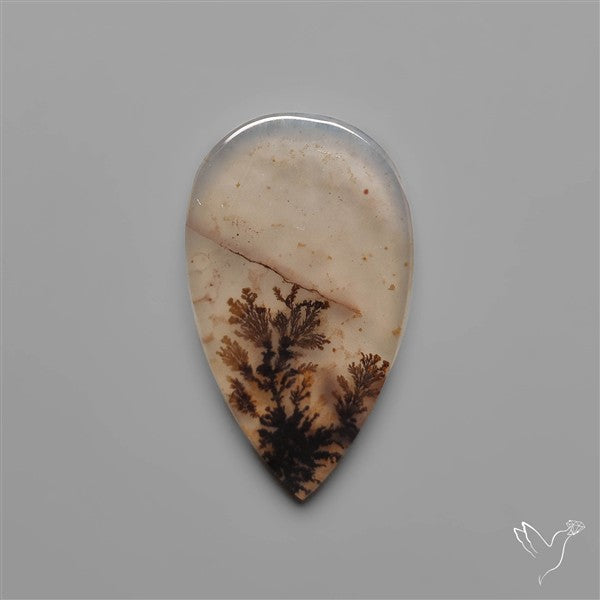 Scenic Dendritic Agate