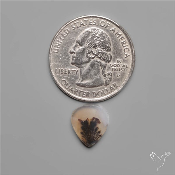Scenic Dendritic Agate