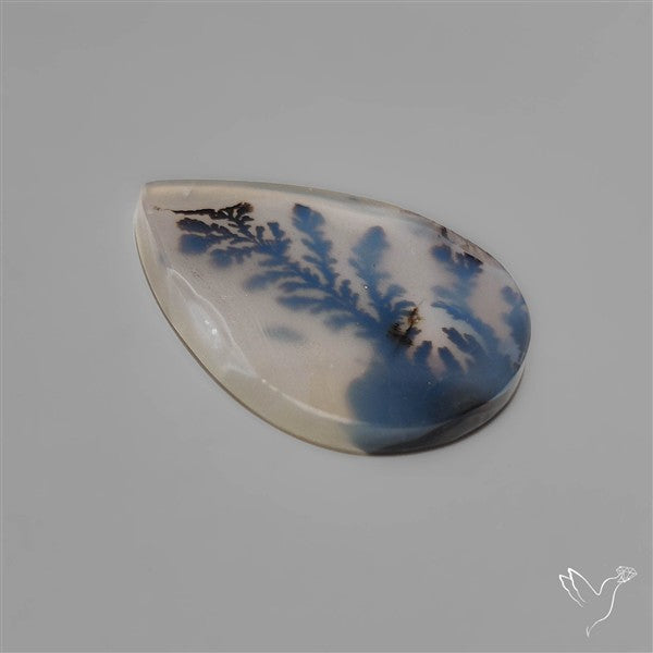 Scenic Dendritic Agate