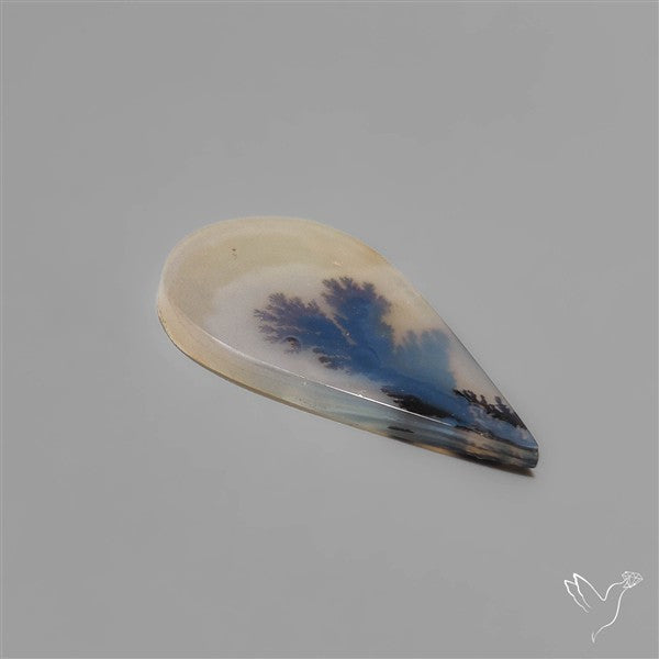 Scenic Dendritic Agate