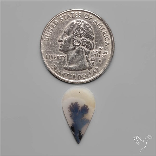 Scenic Dendritic Agate