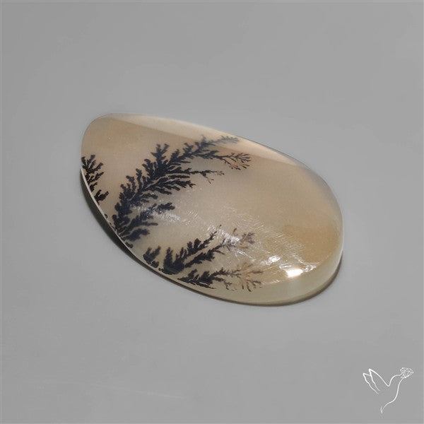 Scenic Dendritic Agate