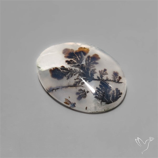 Scenic Dendritic Agate