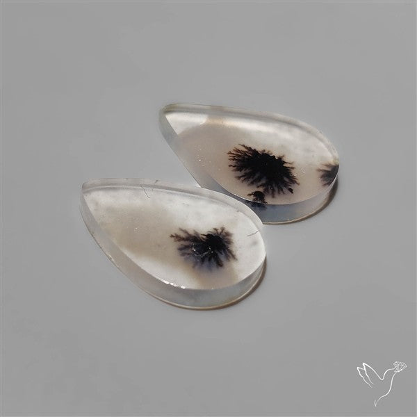 Scenic Dendritic Agates Pair