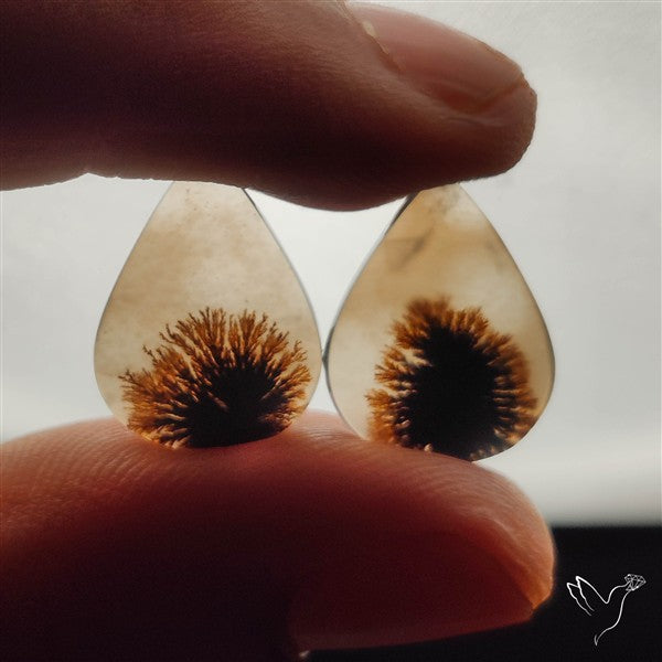 Scenic Dendritic Agates Pair