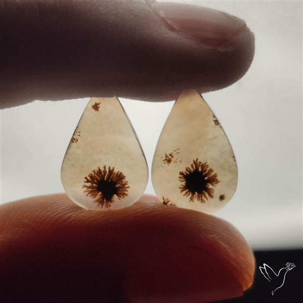 Scenic Dendritic Agates Pair