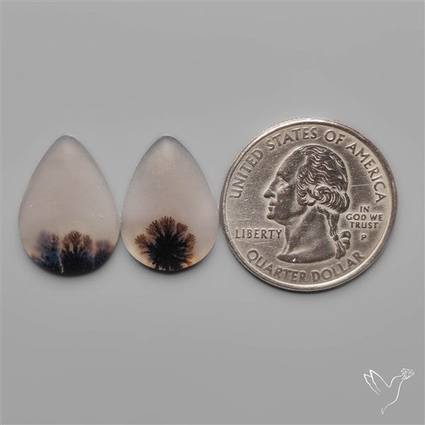 Scenic Dendritic Agates Pair