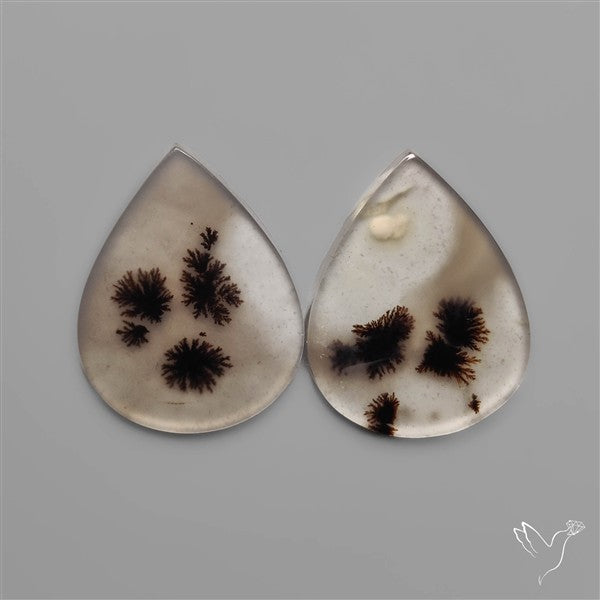 Scenic Dendritic Agates Pair