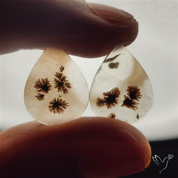 Scenic Dendritic Agates Pair
