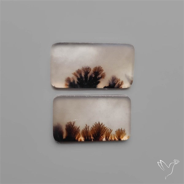 Scenic Dendritic Agates Pair