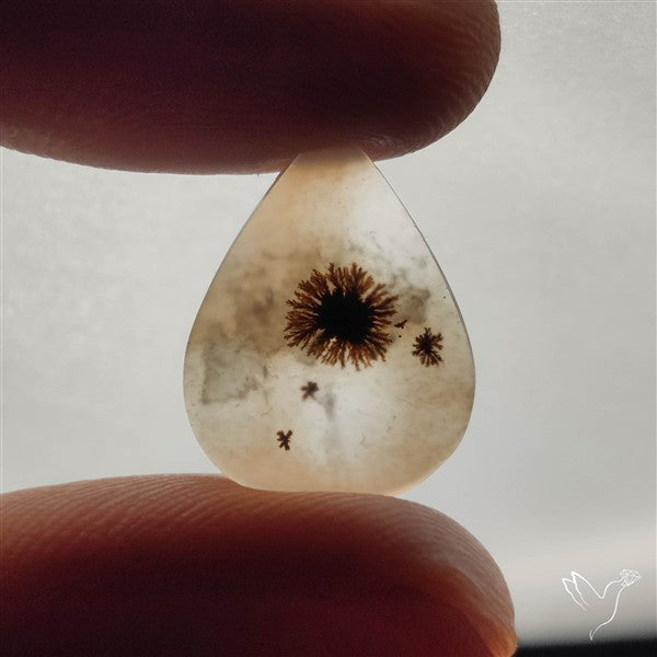 Selected Scenic Dendritic Agate