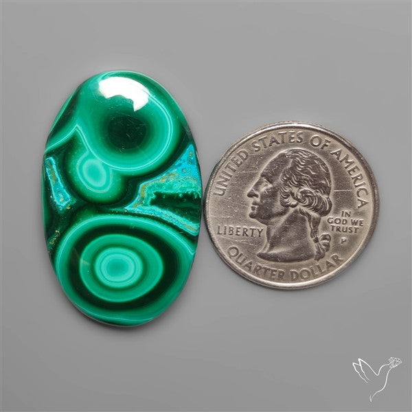 Chrysocolla In Malachite Cabochon